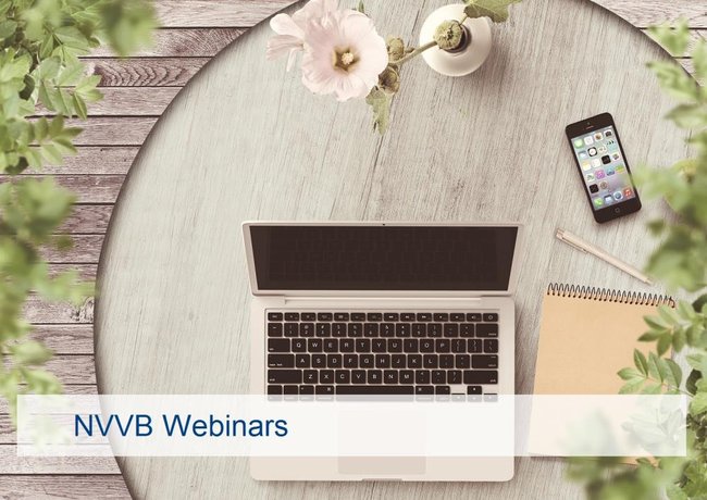 Webinars verkiezingen in coronatijd - meld je nu aan